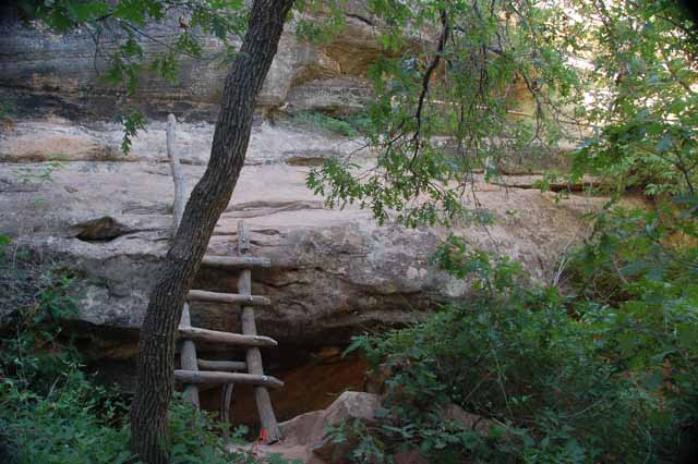 ladder to canyon floor